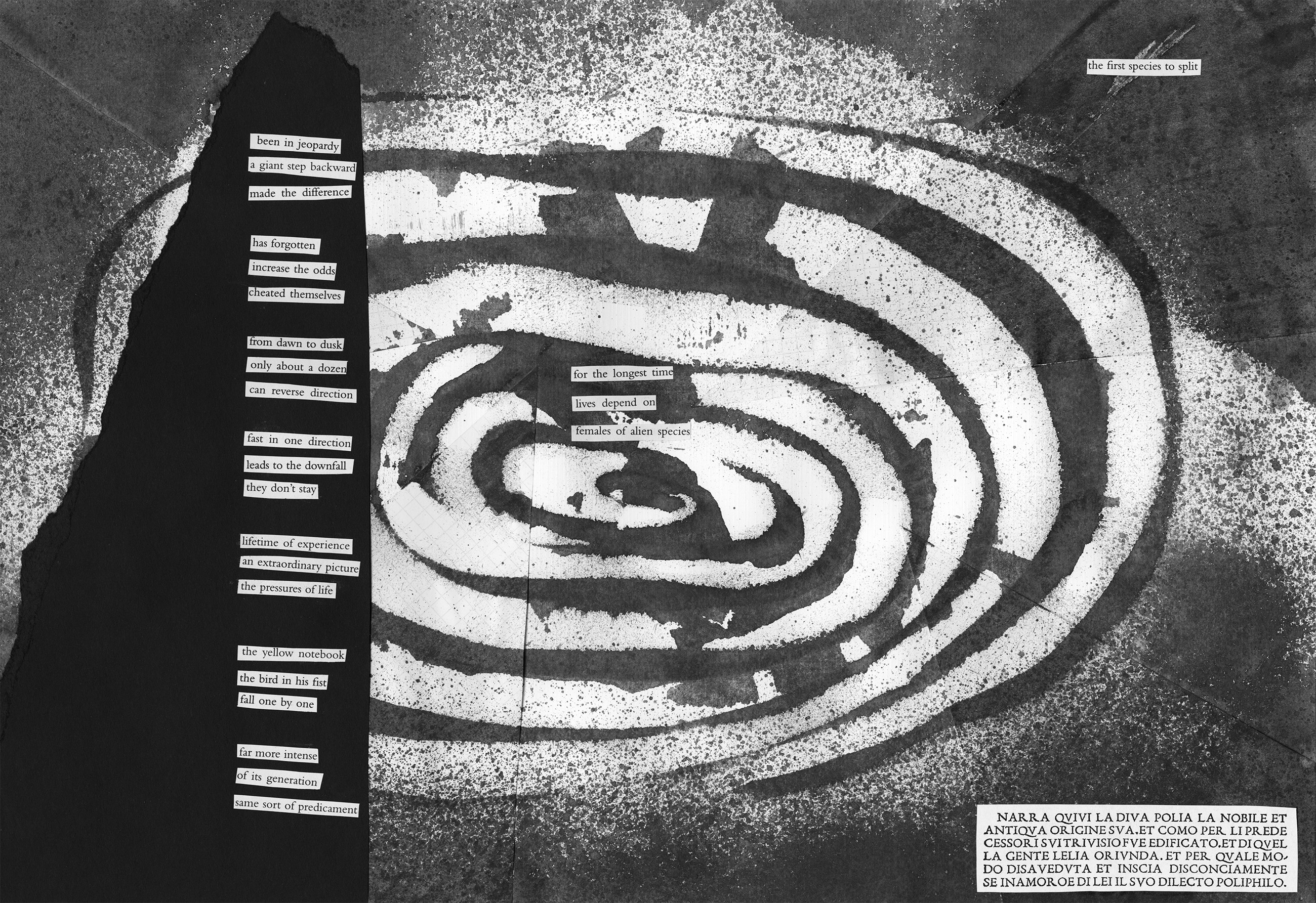 Alicja Wisniowska Work