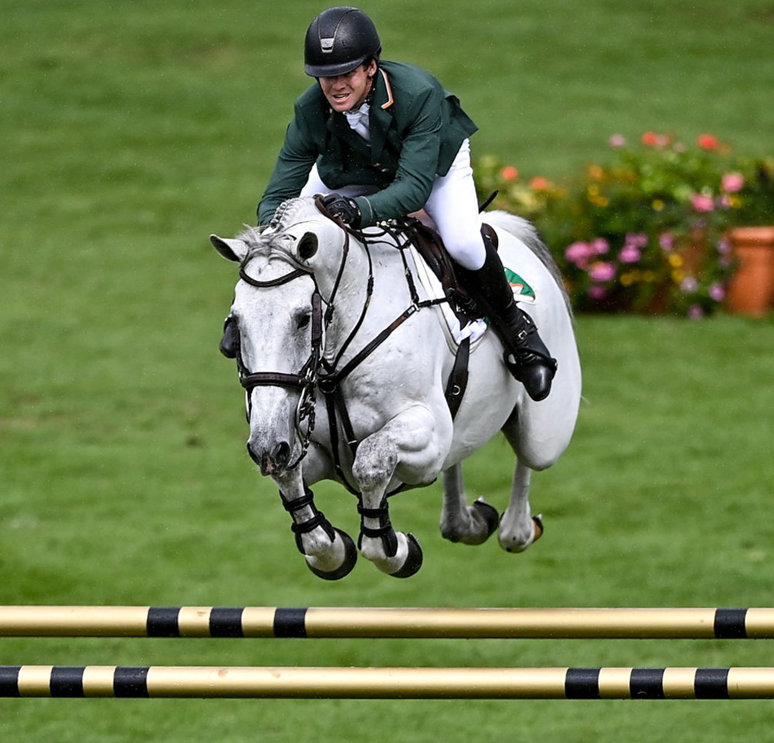 Dog Grooming Contest